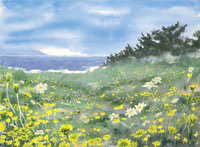 "Dandelion Daze" ltd edition 50 image size 28x20